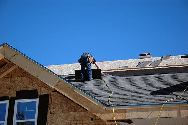 Best Roof Gutter Cleaning  in Barry, IL